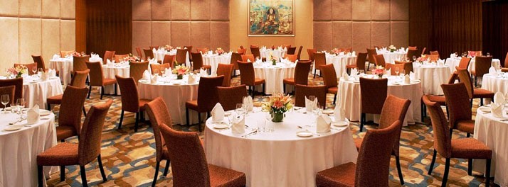 595/Radisson Blu Plaza Hotel Hyderabad Banjara Hills - Hyderabad 04.jpg